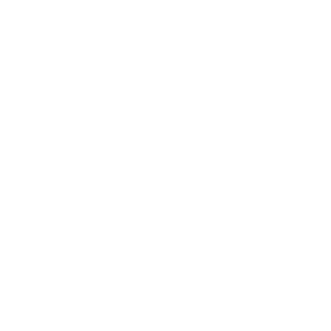 Mercedes Benz Logo